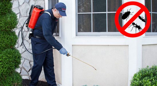 Güzelyurt Dezenfeksiyon böcek ilaçlama ve haşere kontrolü — ilaclama-tr.com